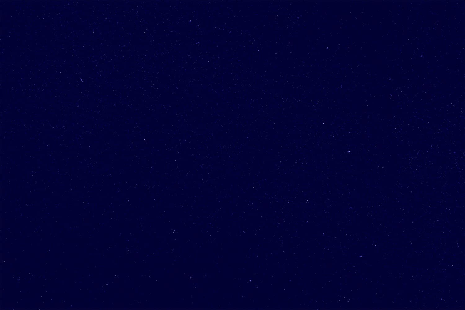 Blue · primary